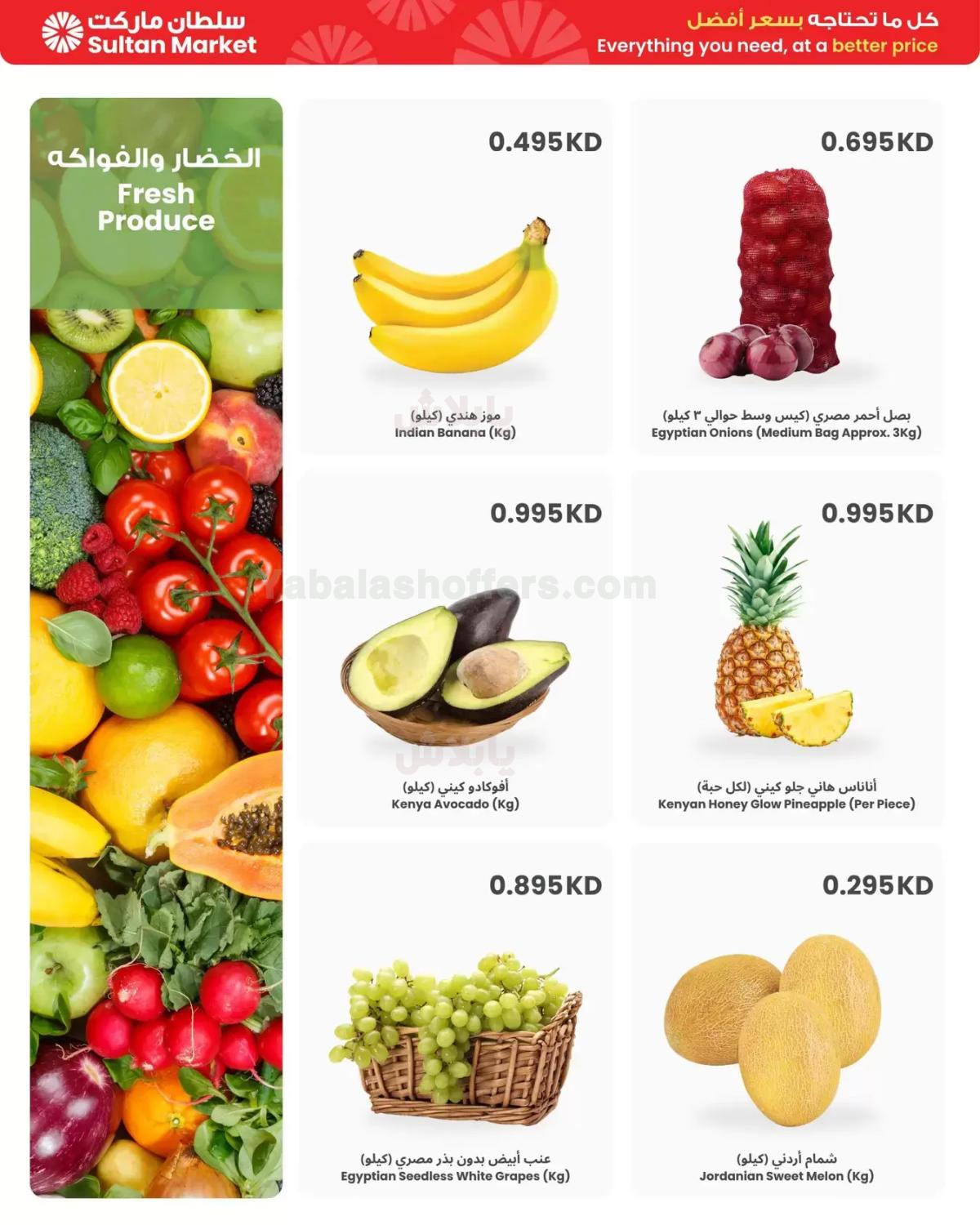 صفحة 2