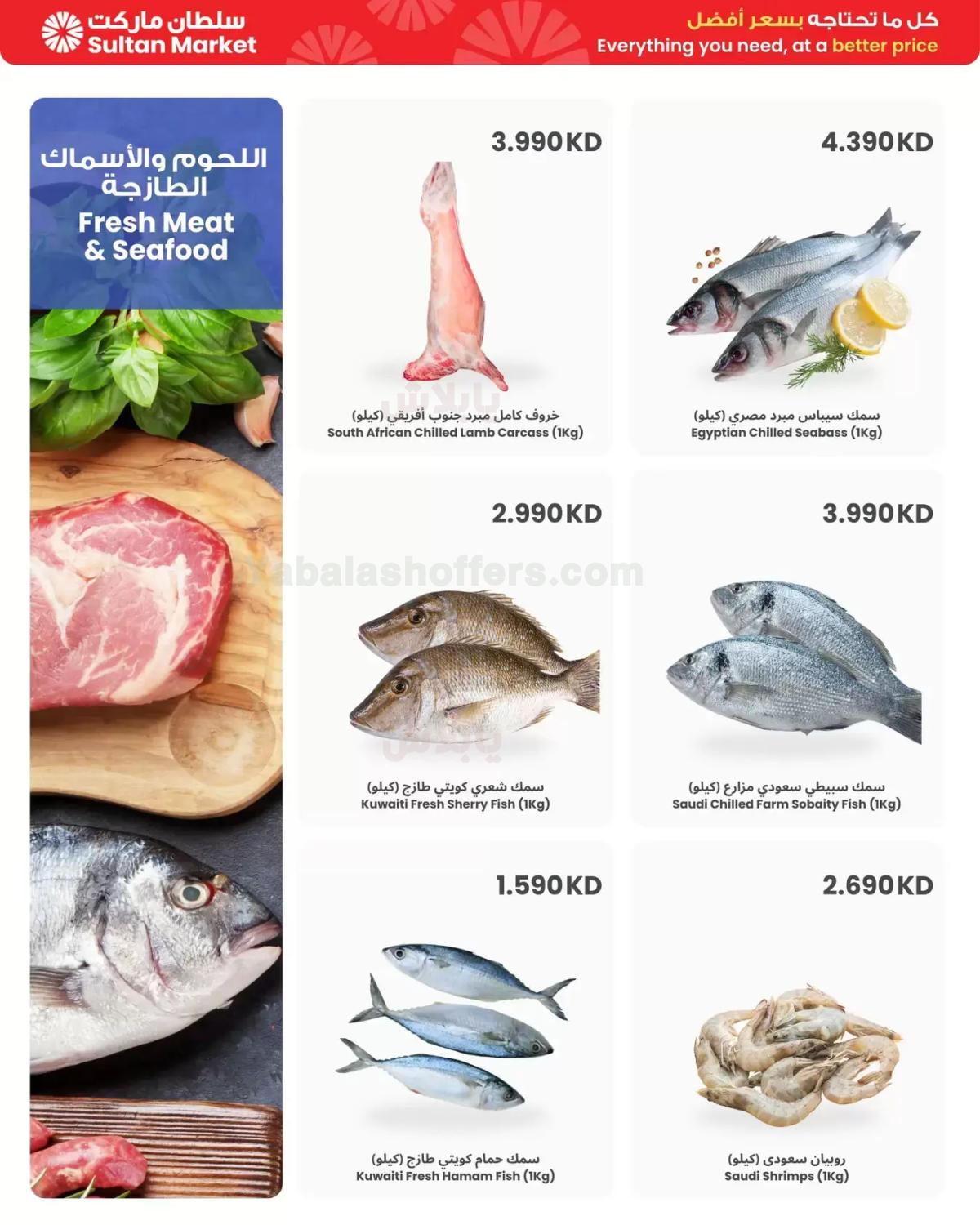 صفحة 3