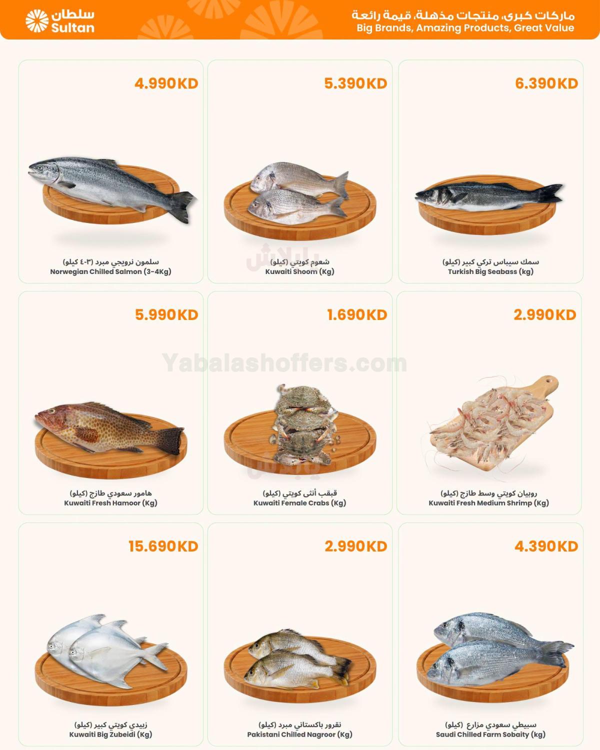 صفحة 2