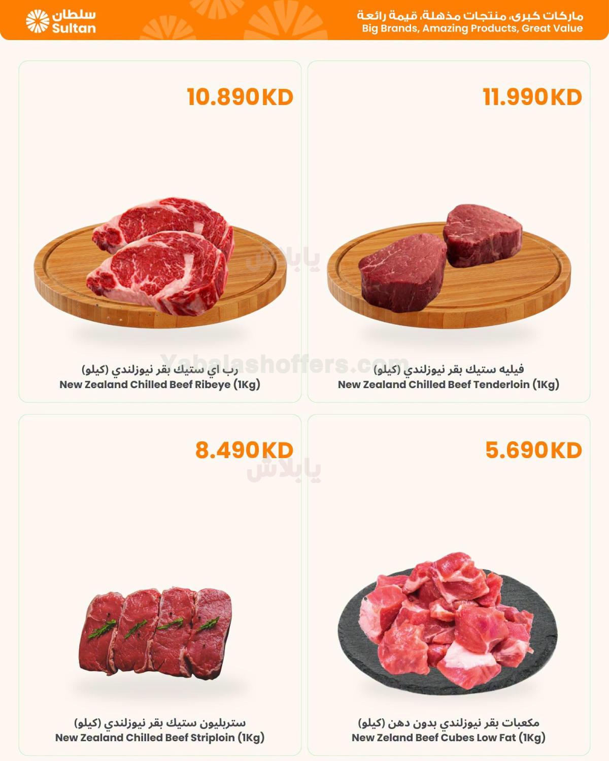 صفحة 4