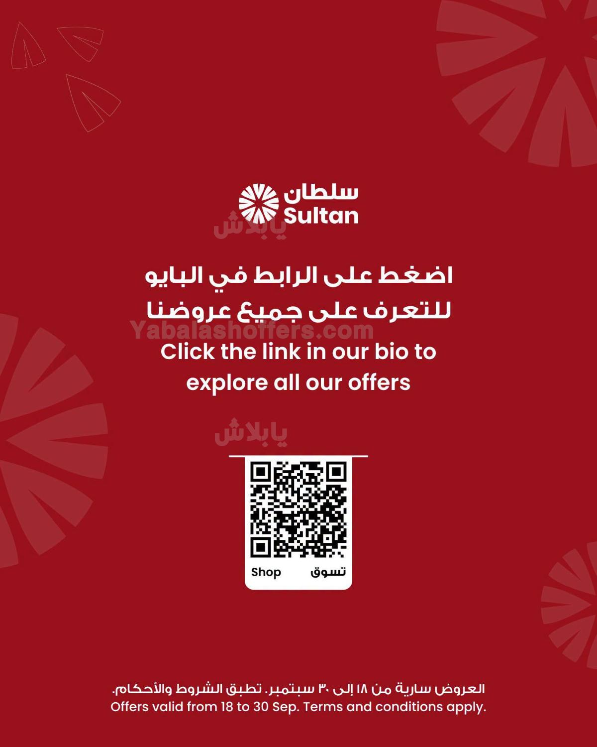 صفحة 8