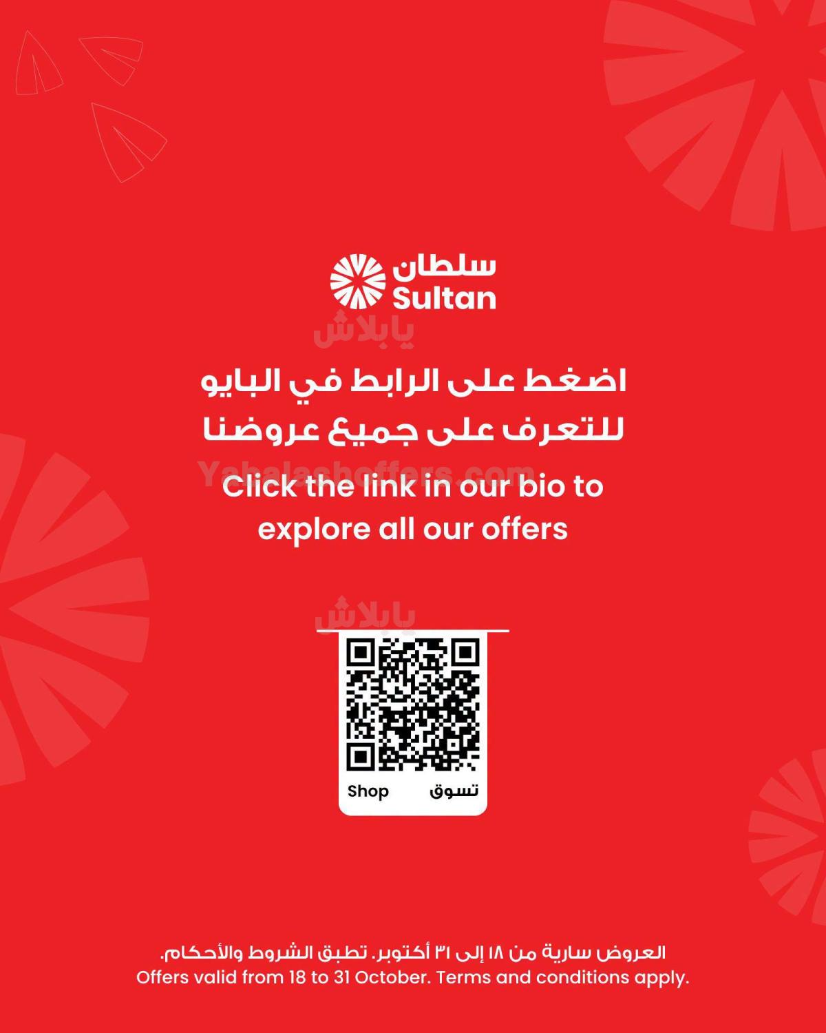 صفحة 8