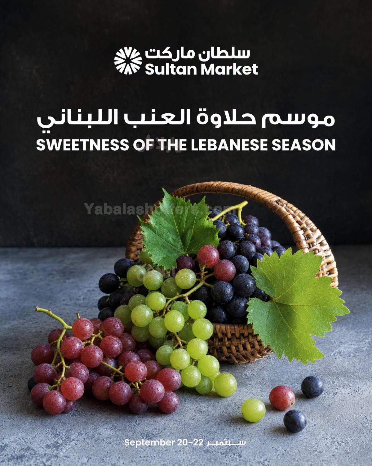 صفحة 1