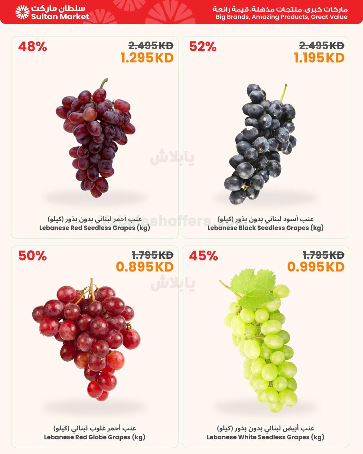 صفحة 2