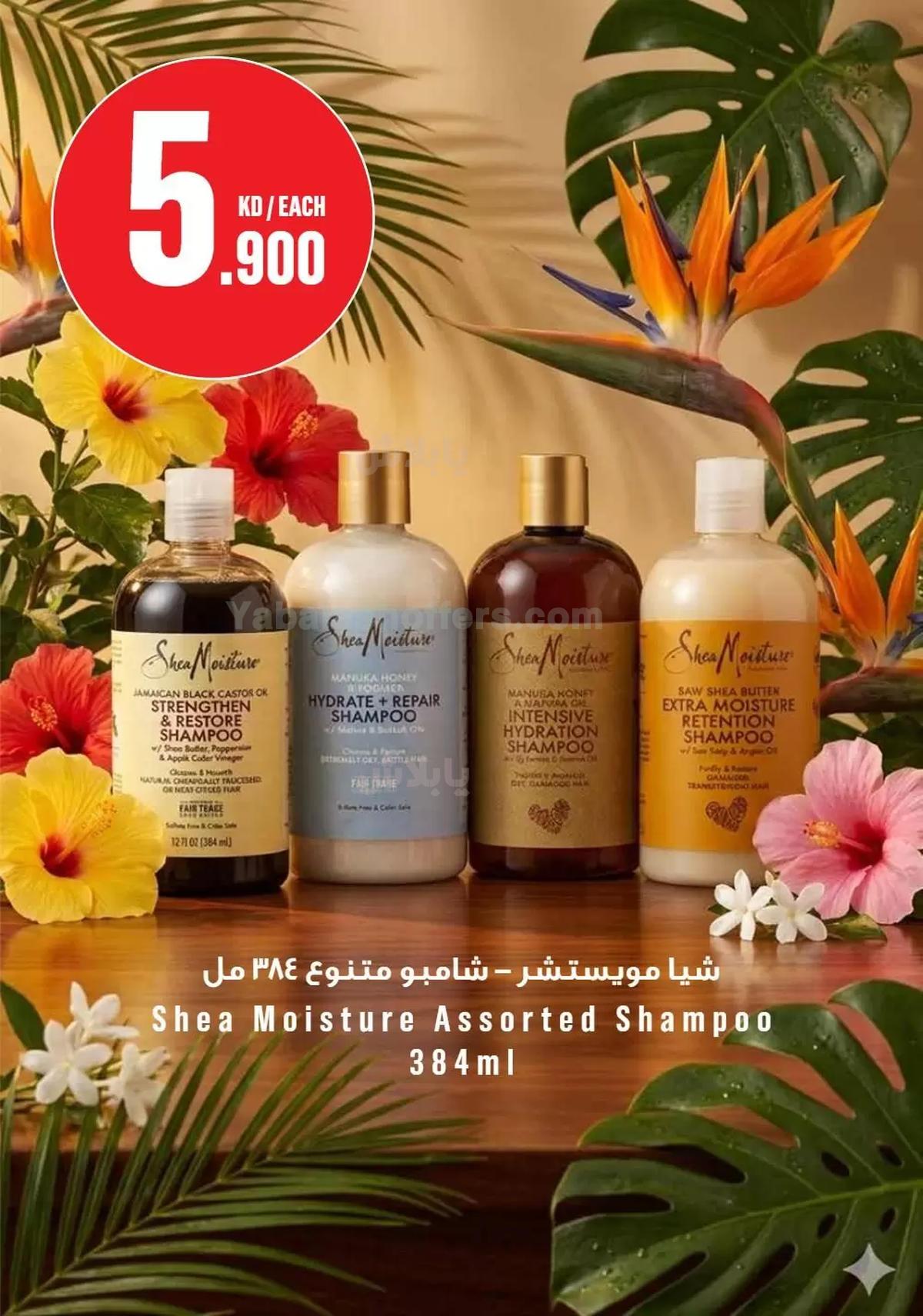 صفحة 24