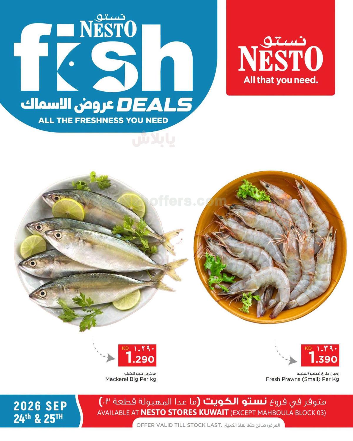 عرض الاسماك من نستو