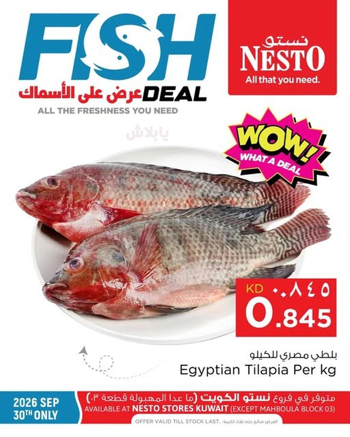 عرض الاسماك من نستو