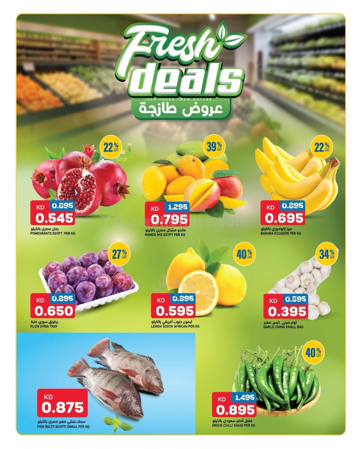 صفحة 2