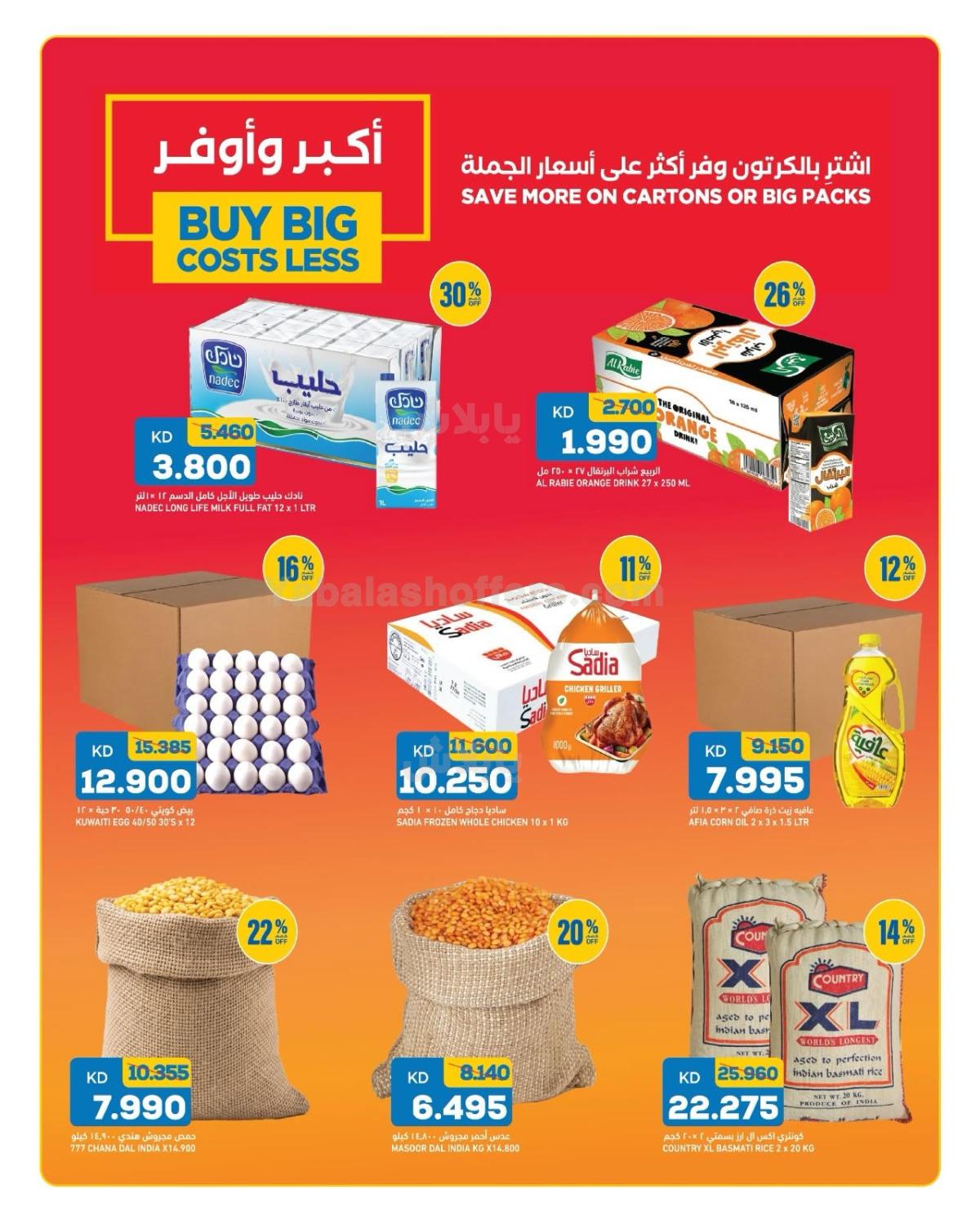 صفحة 4