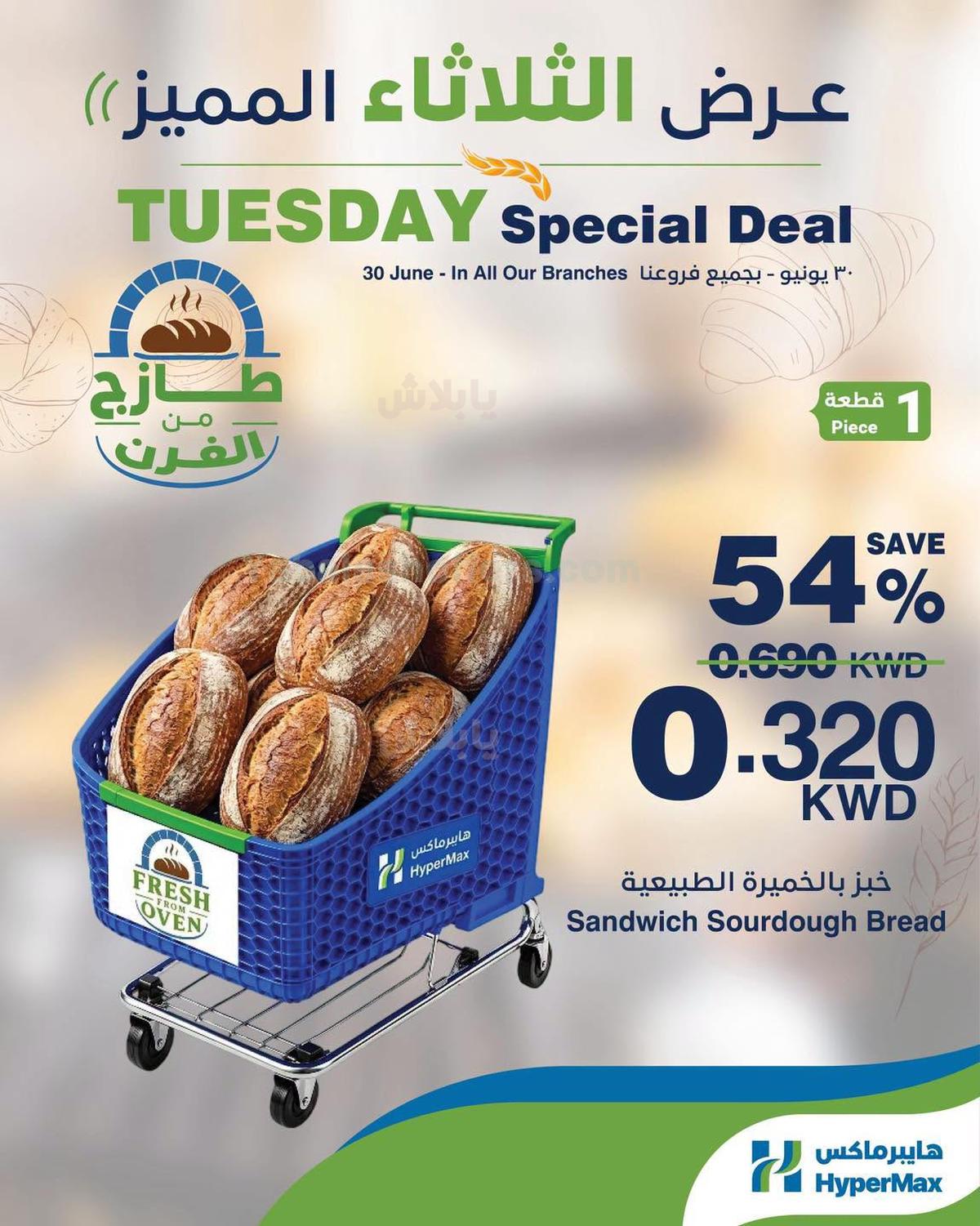 صفحة 1