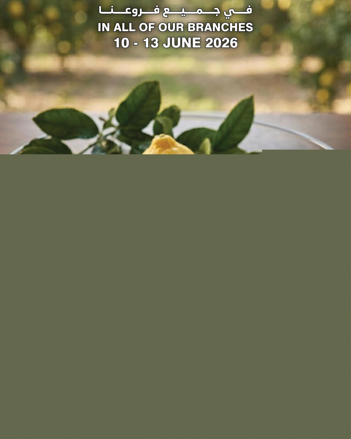 صفحة 9