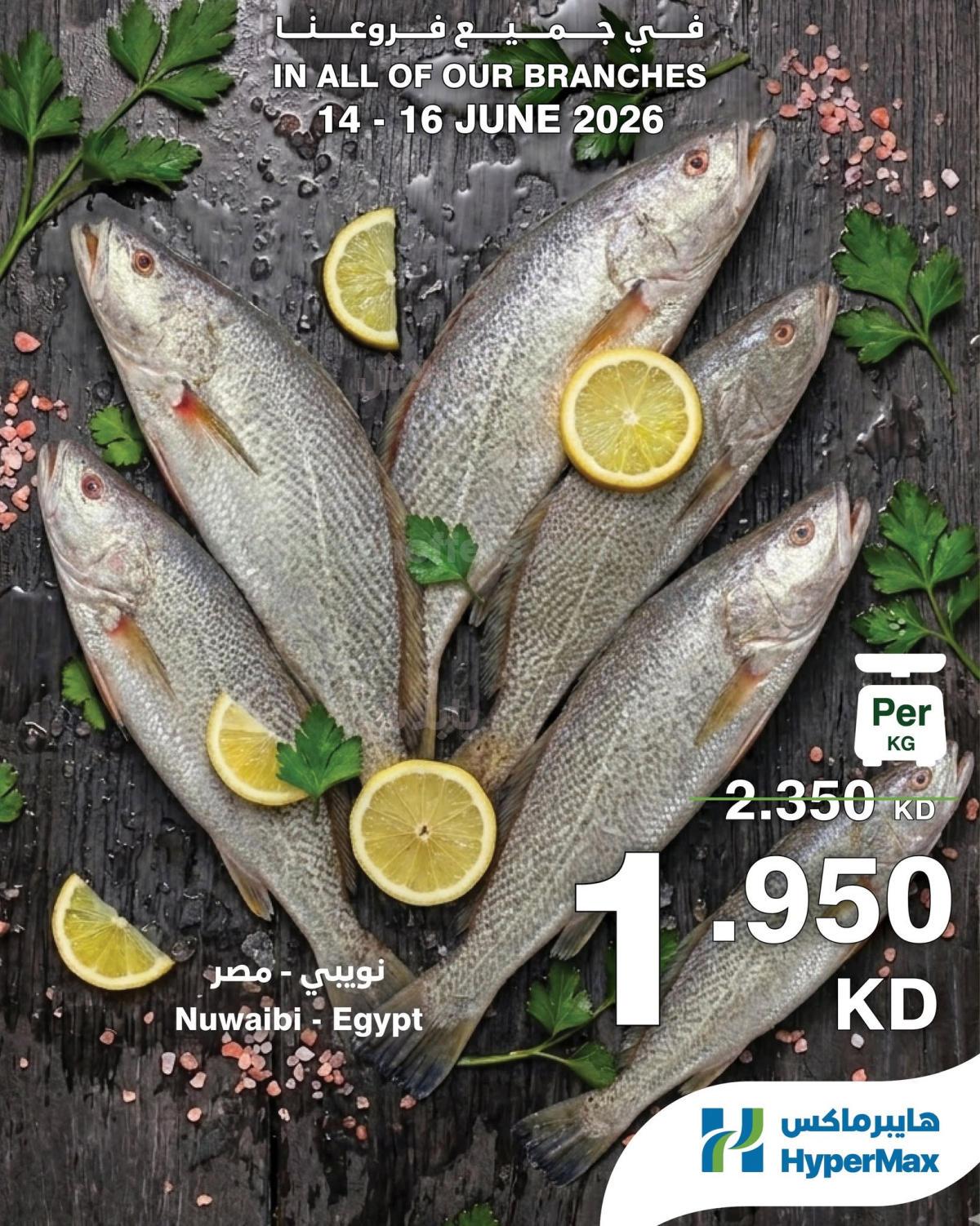 صفحة 5