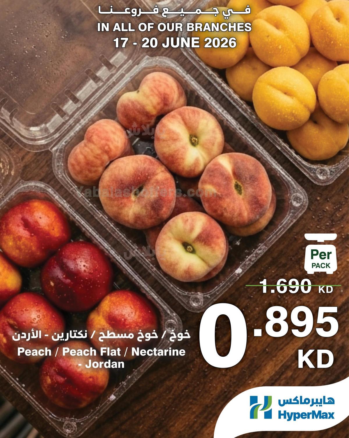 صفحة 8