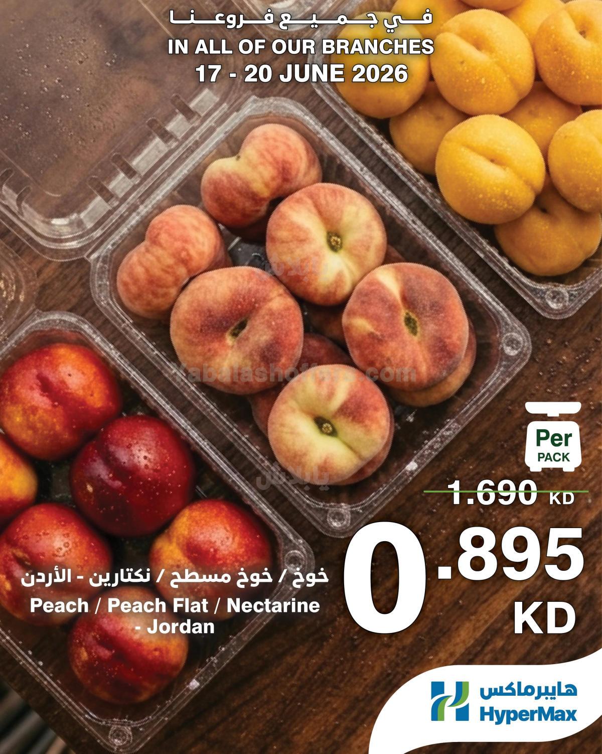 صفحة 10