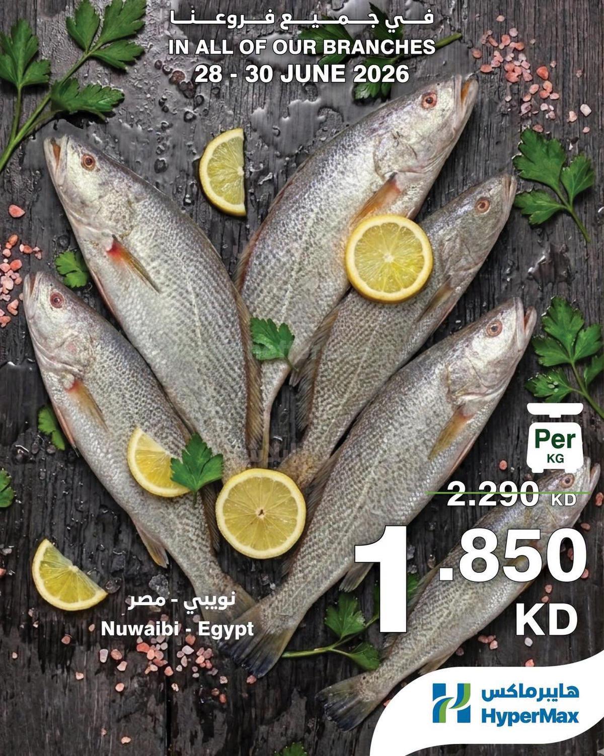 صفحة 3