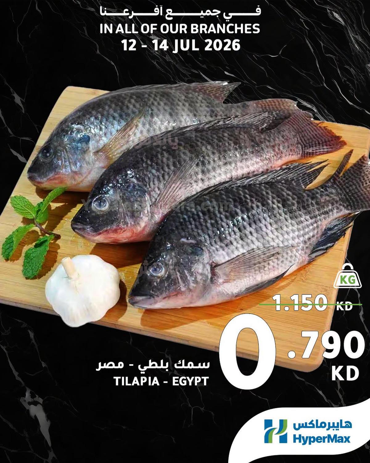 صفحة 2