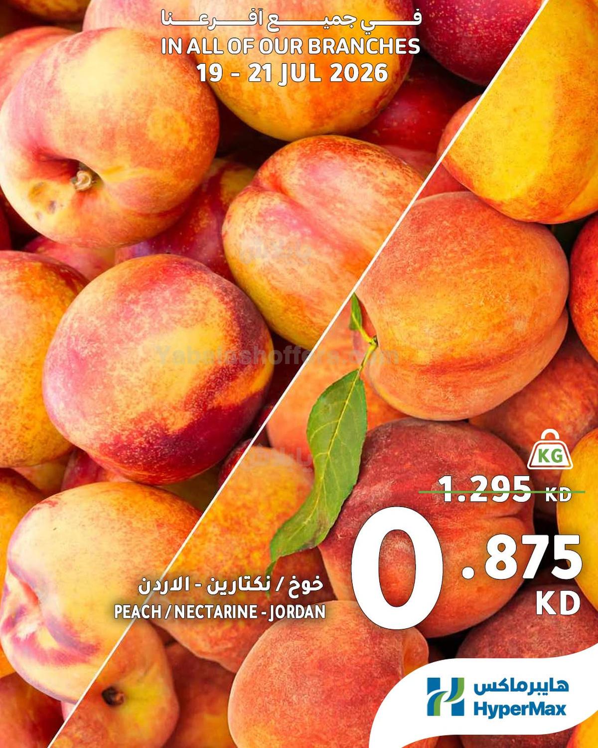 صفحة 8