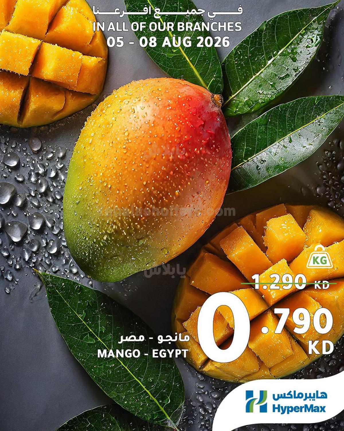 صفحة 4