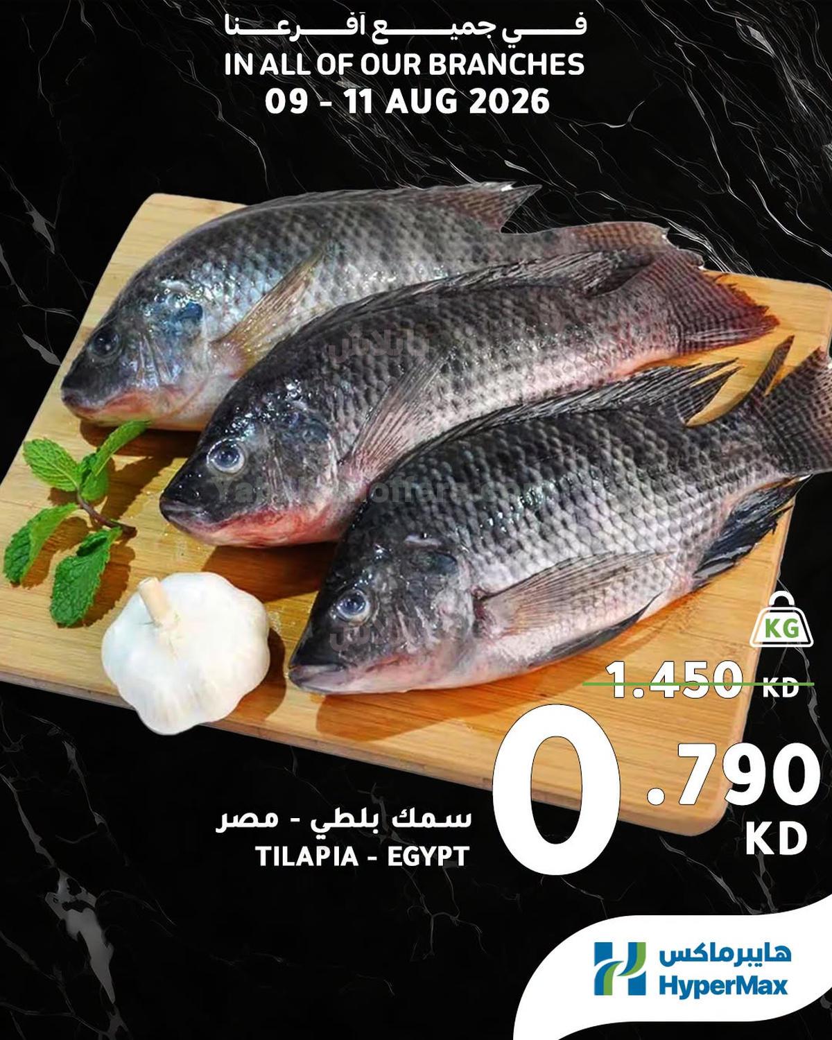 صفحة 3