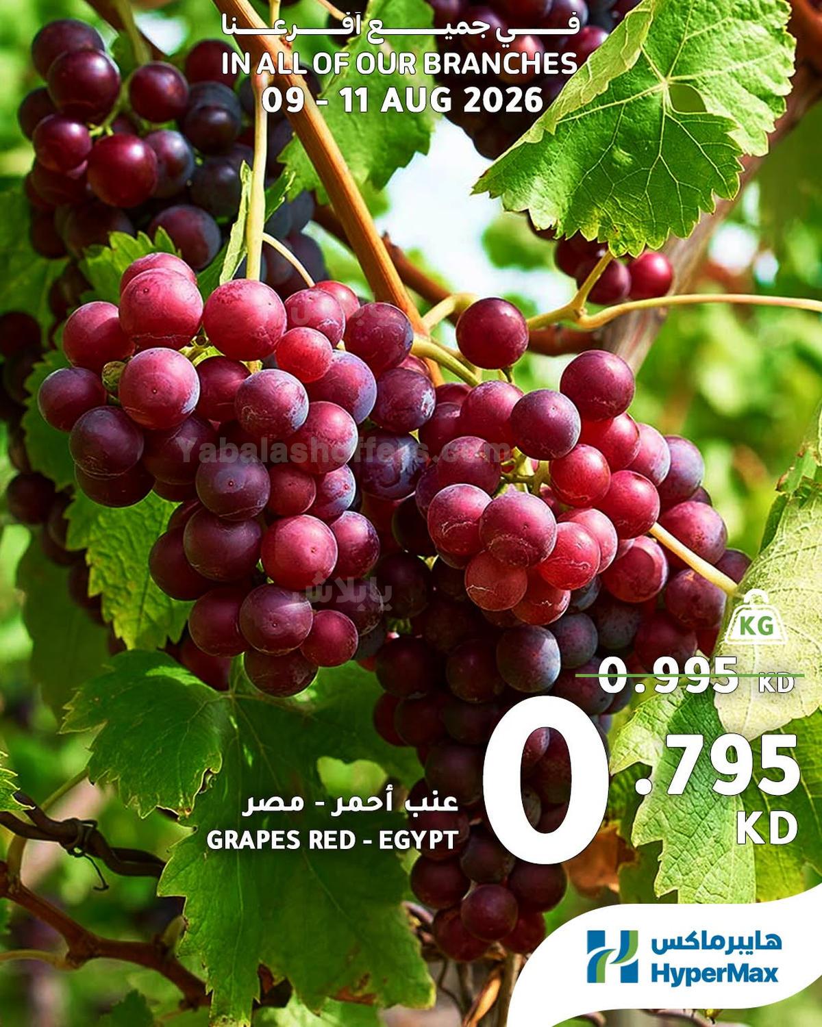 صفحة 9
