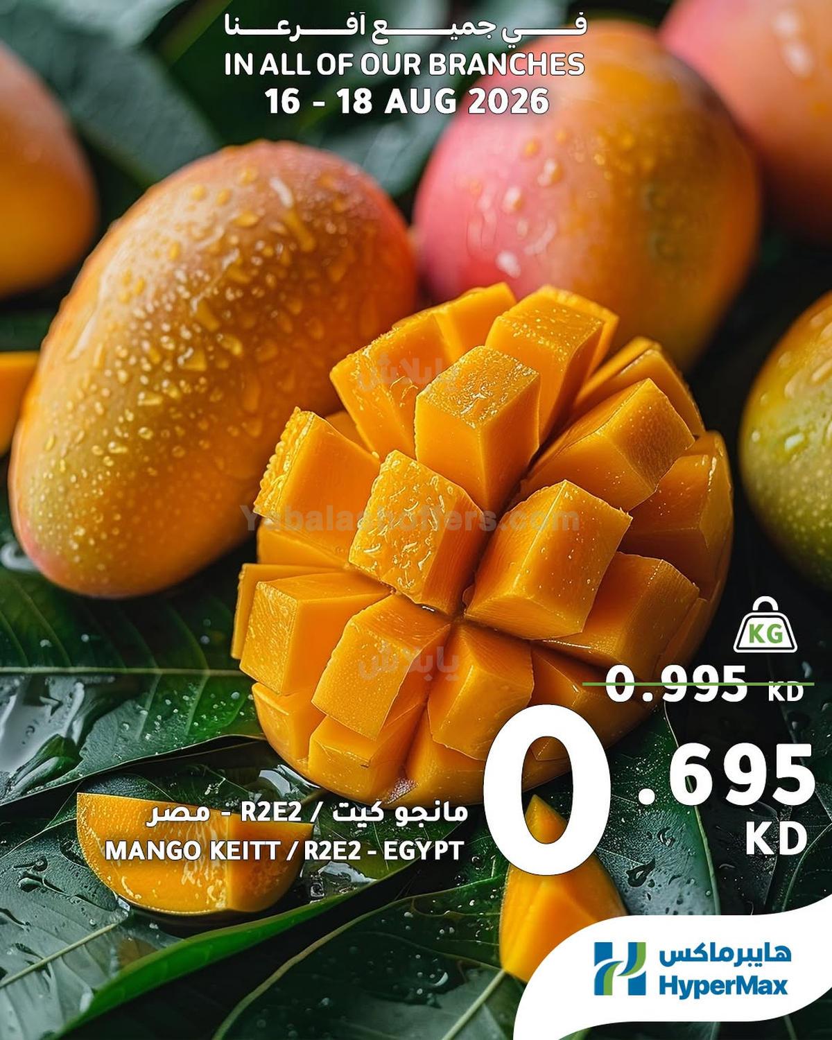 صفحة 8