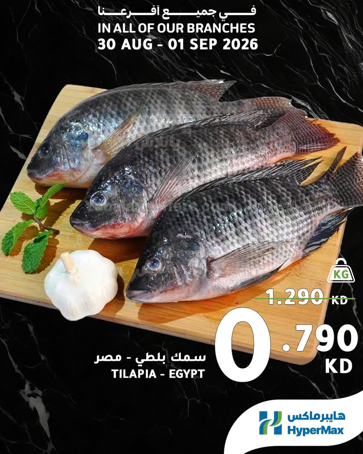 صفحة 3
