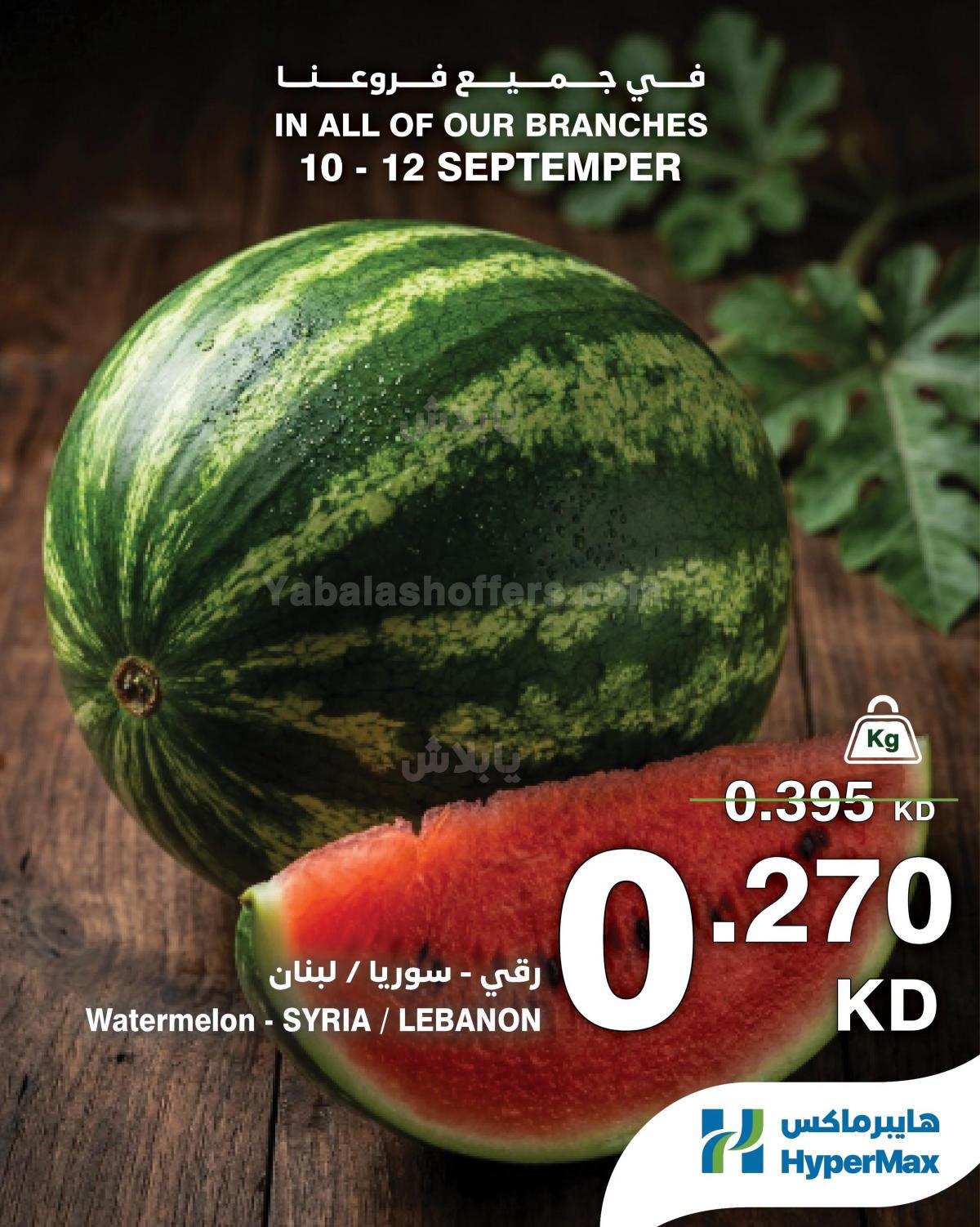 صفحة 10