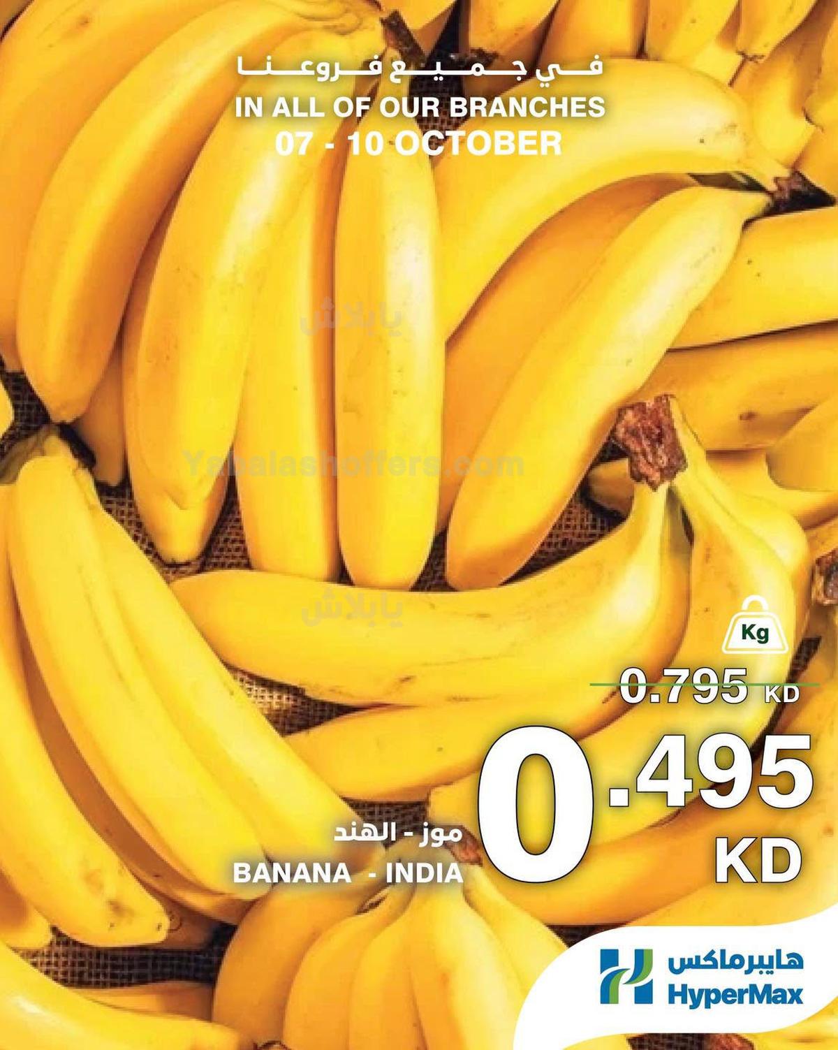 صفحة 3