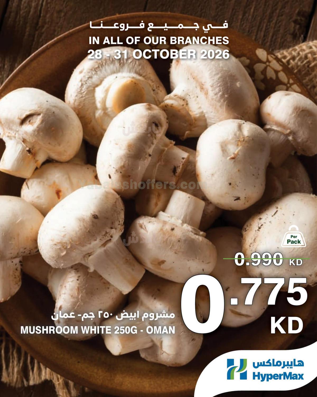 صفحة 2