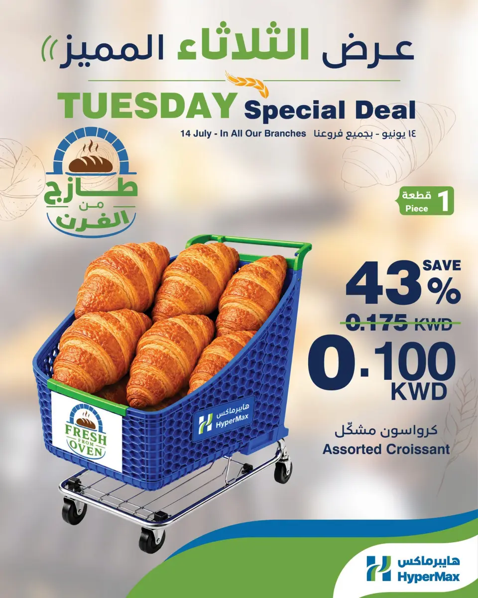 صفحة 1