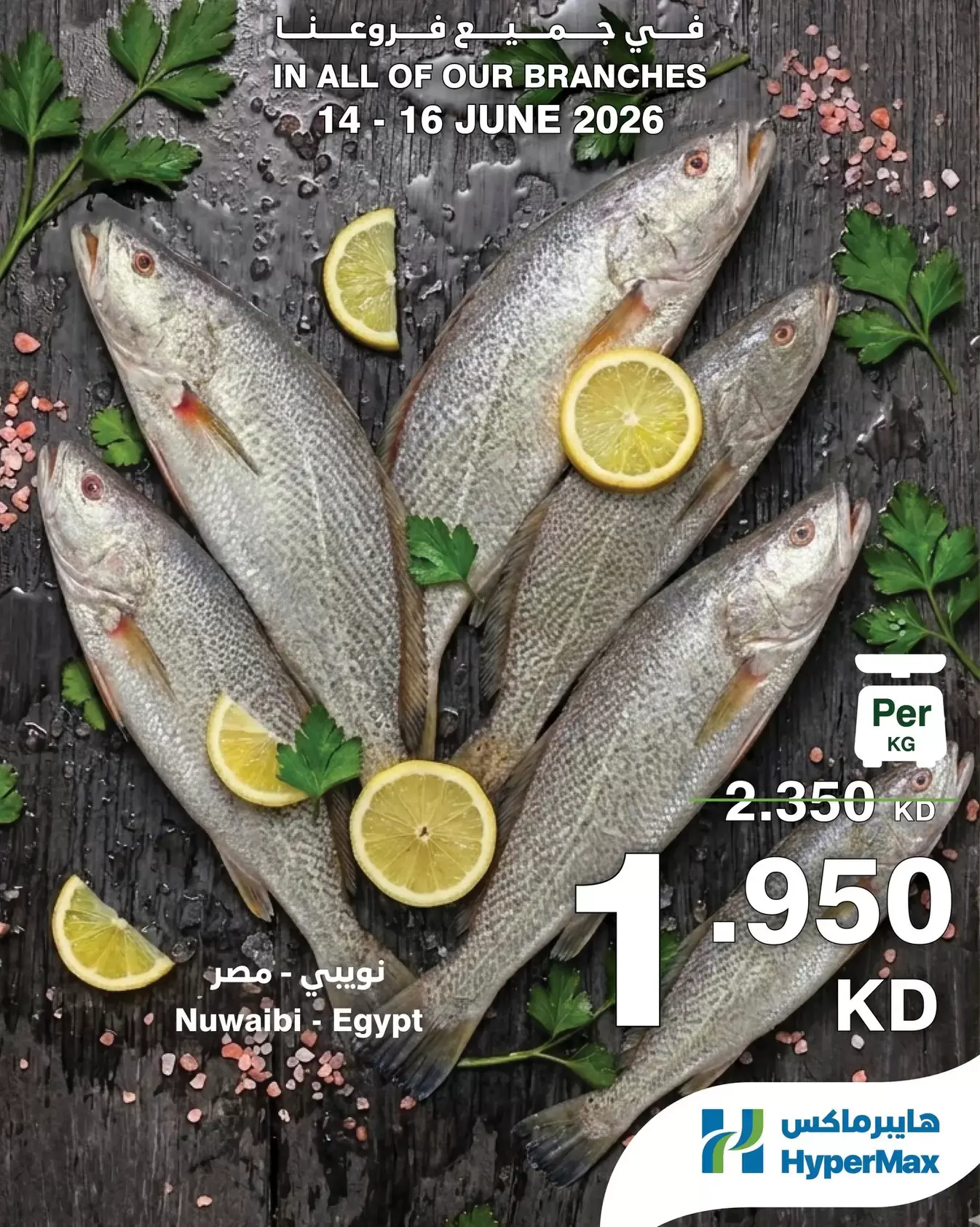 صفحة 5