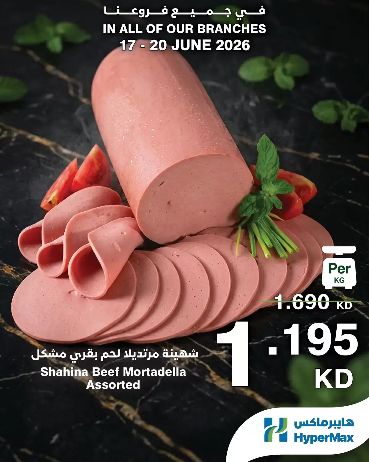 صفحة 13