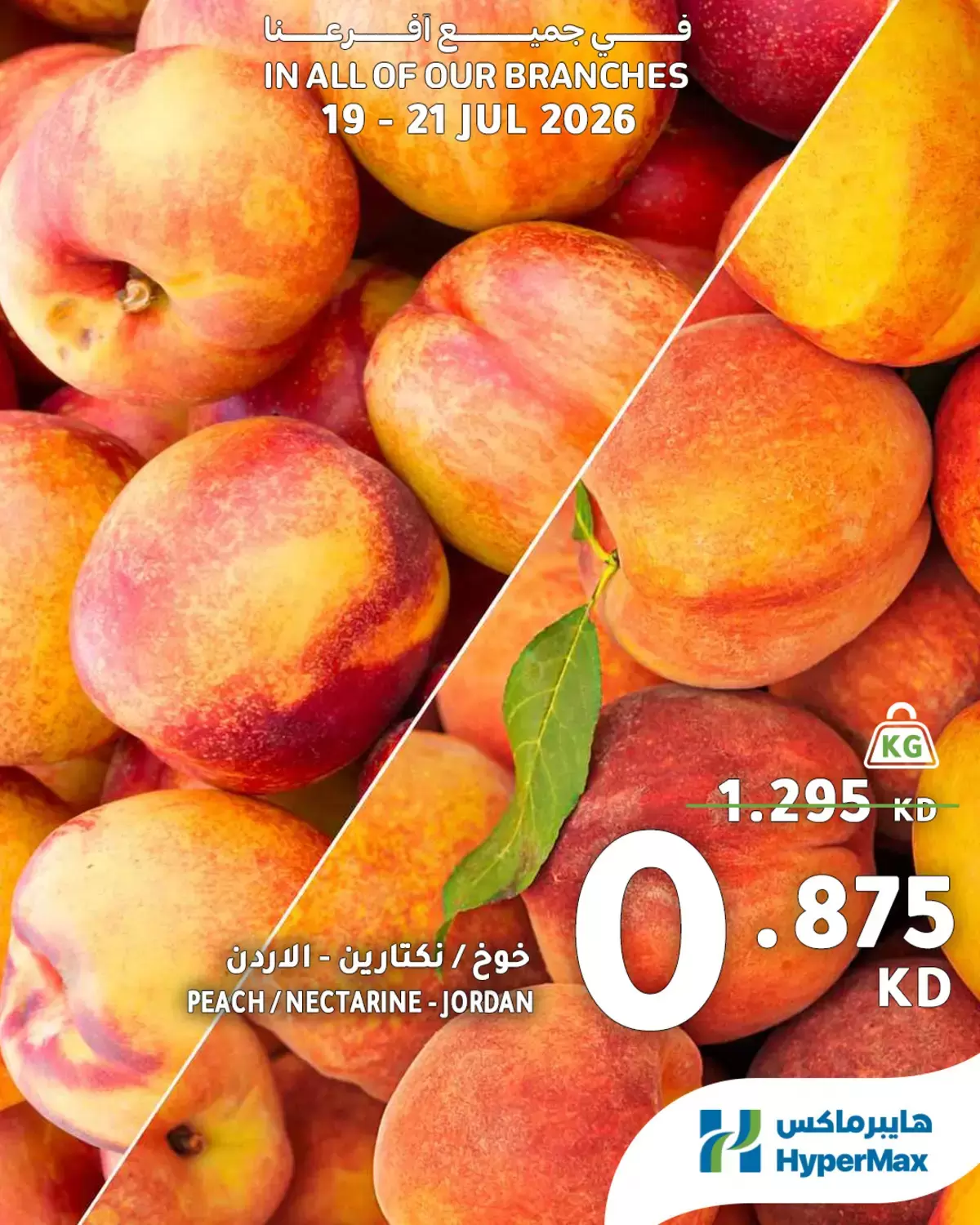 صفحة 8