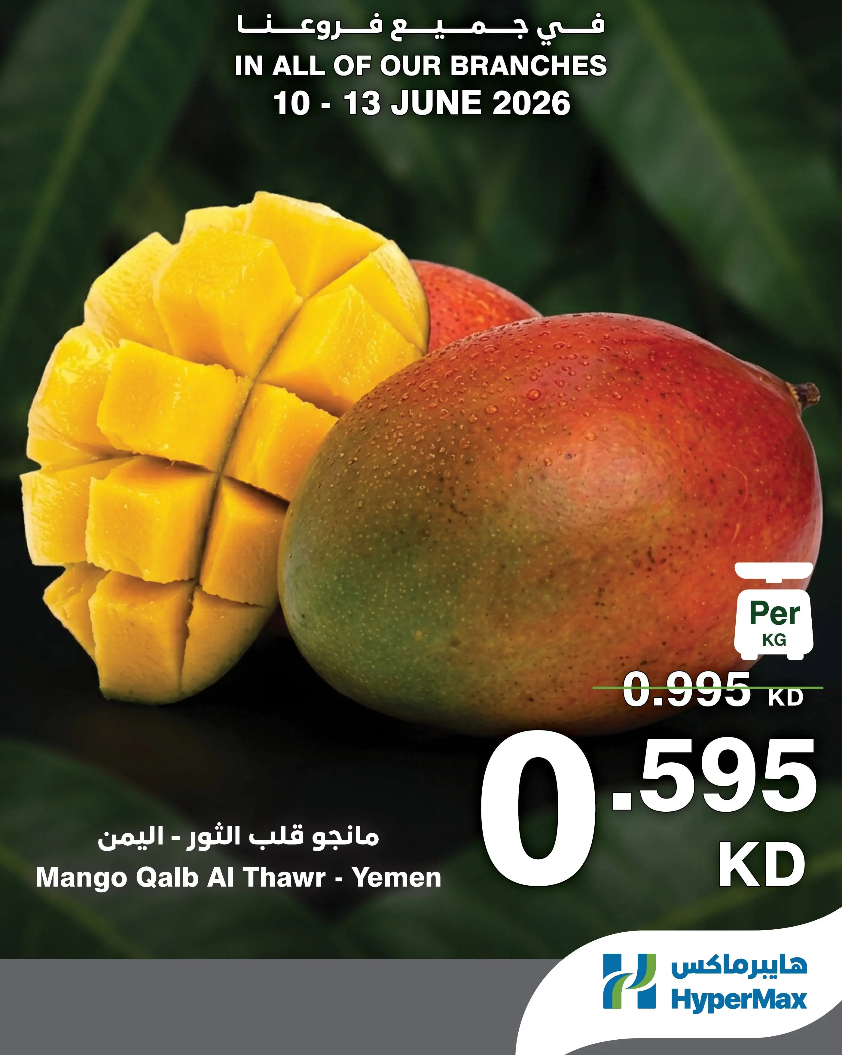 صفحة 12