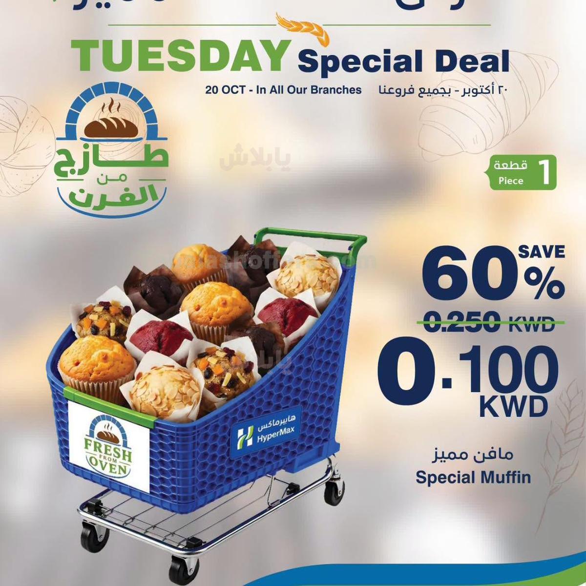 صفحة 1